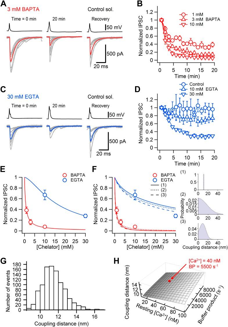 https://cdn.ncbi.nlm.nih.gov/pmc/blobs/76e8/4270082/239ebf9a4761/elife04057f004.jpg