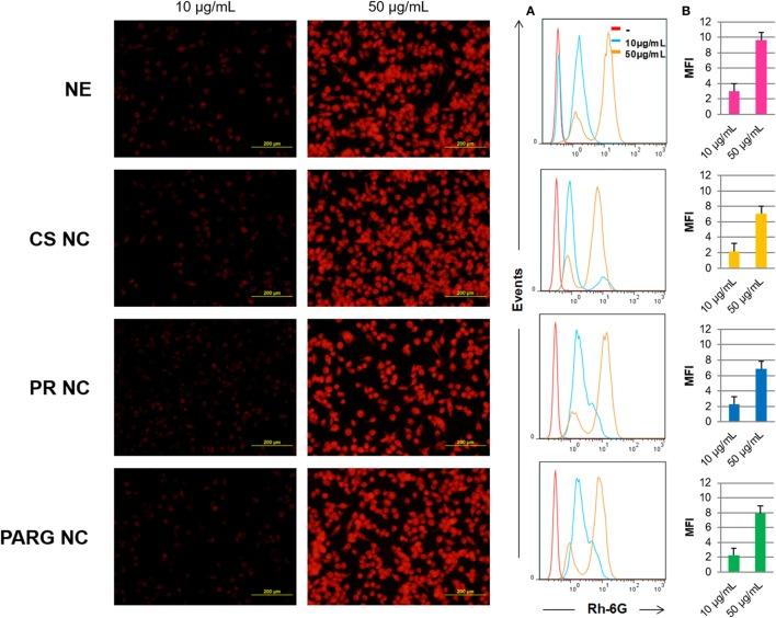 https://cdn.ncbi.nlm.nih.gov/pmc/blobs/76e8/5916973/235f61d26255/fimmu-09-00791-g003.jpg