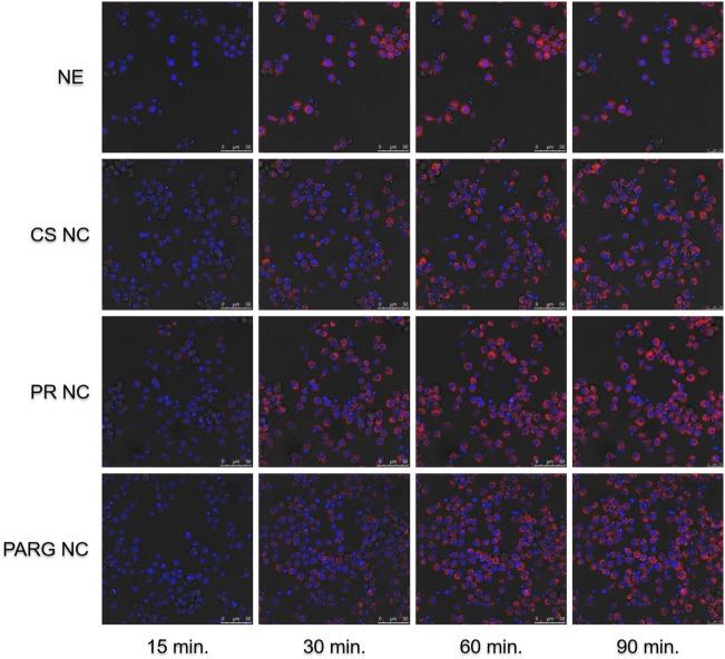 https://cdn.ncbi.nlm.nih.gov/pmc/blobs/76e8/5916973/7ff06796fa19/fimmu-09-00791-g004.jpg