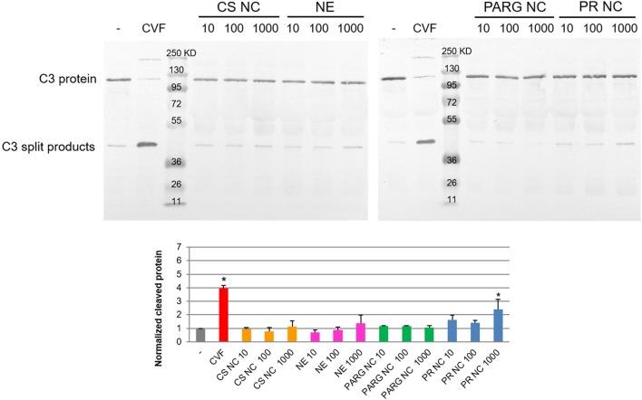 https://cdn.ncbi.nlm.nih.gov/pmc/blobs/76e8/5916973/cdba2e8b1815/fimmu-09-00791-g001.jpg