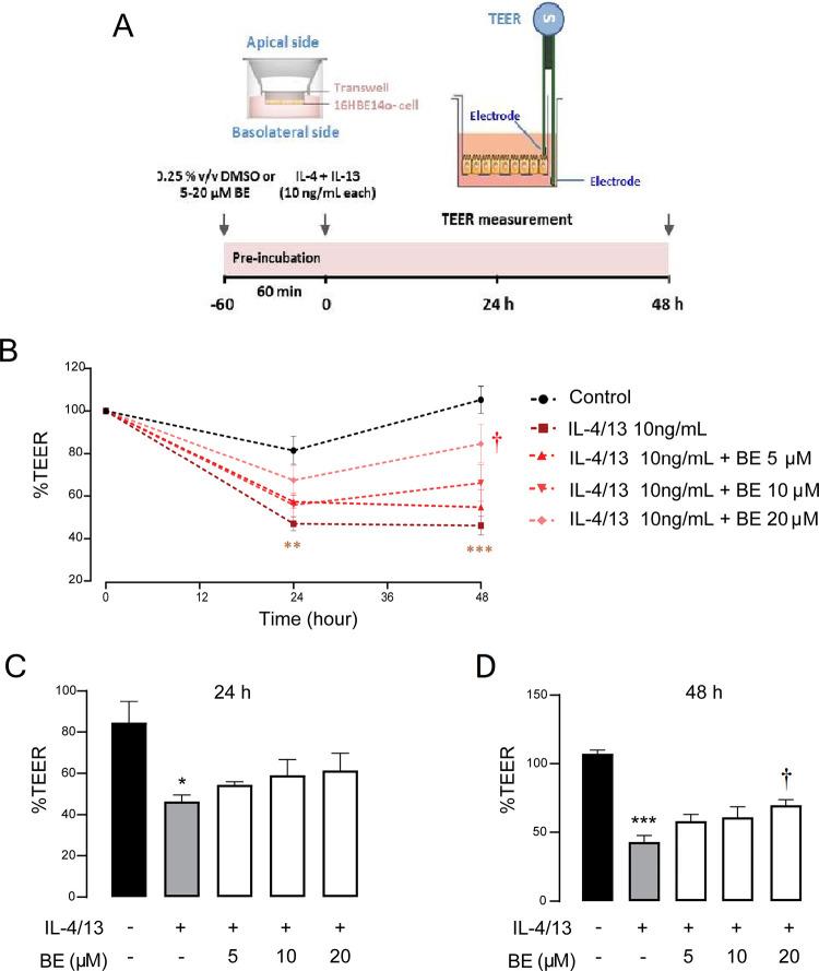 https://cdn.ncbi.nlm.nih.gov/pmc/blobs/76e9/11060601/079e09a9df3d/pone.0302851.g001.jpg
