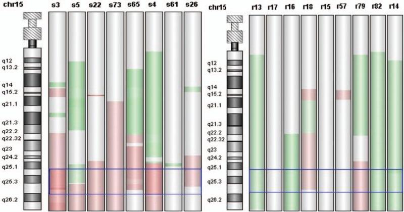 https://cdn.ncbi.nlm.nih.gov/pmc/blobs/76e9/5627846/188523e26d87/medi-96-e7621-g002.jpg