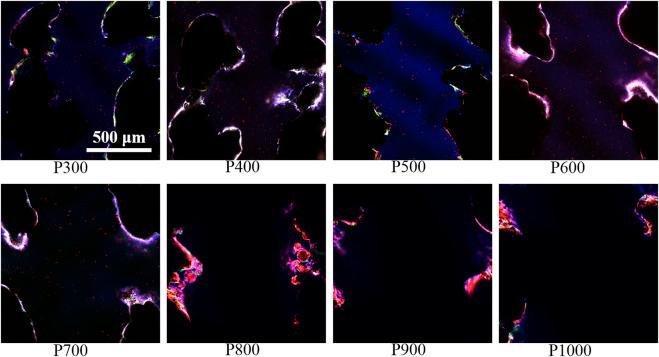 https://cdn.ncbi.nlm.nih.gov/pmc/blobs/76eb/10229796/6015607188d7/fchem-11-1190630-g009.jpg