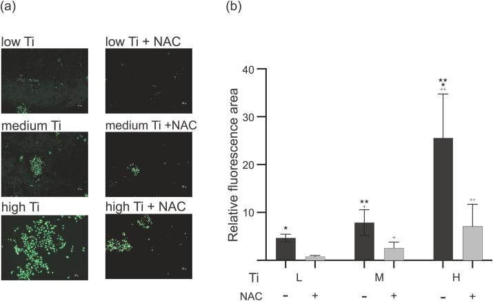 https://cdn.ncbi.nlm.nih.gov/pmc/blobs/76eb/11762583/ed342ea117eb/gr3.jpg