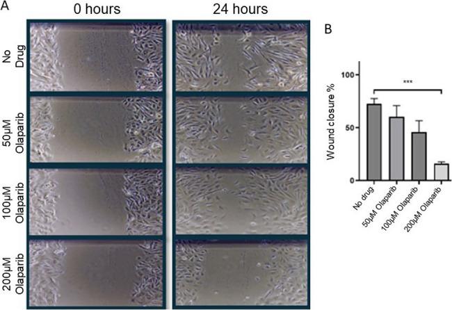 https://cdn.ncbi.nlm.nih.gov/pmc/blobs/76ec/12326844/2dea708cdc77/12890_2025_3803_Fig7_HTML.jpg