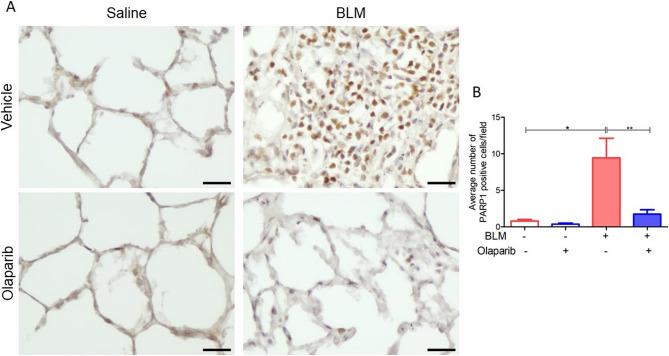 https://cdn.ncbi.nlm.nih.gov/pmc/blobs/76ec/12326844/375337d528d4/12890_2025_3803_Fig3_HTML.jpg
