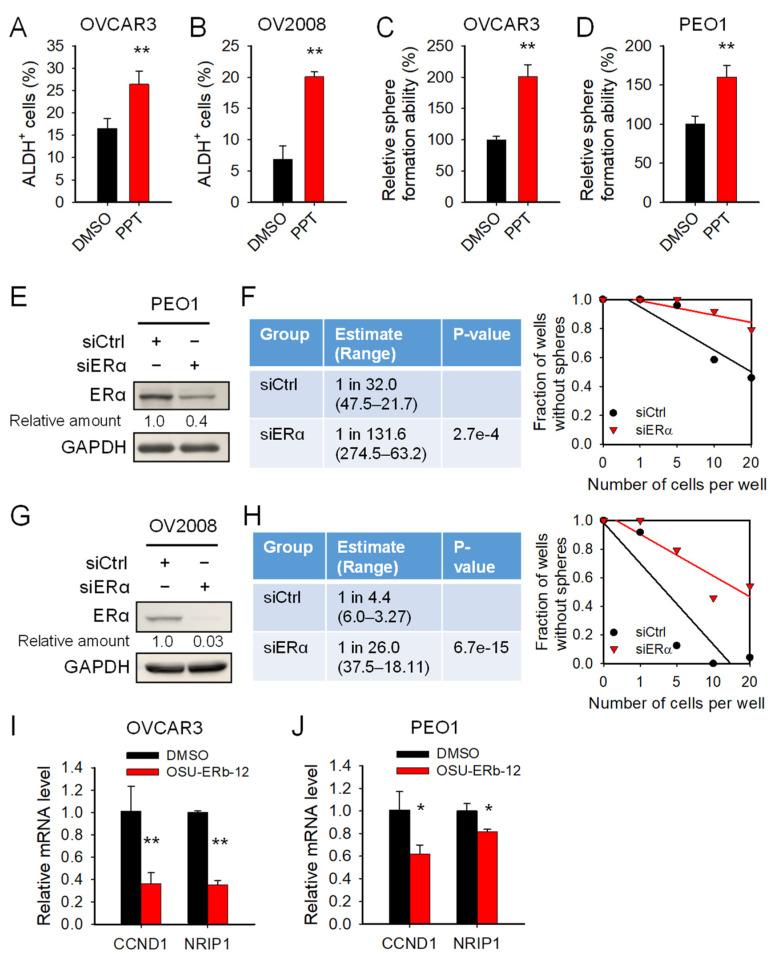 https://cdn.ncbi.nlm.nih.gov/pmc/blobs/76ed/9105687/1faedbdca720/cancers-14-02311-g005.jpg