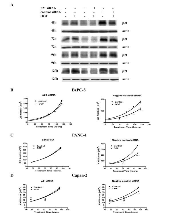 https://cdn.ncbi.nlm.nih.gov/pmc/blobs/76ee/2253554/d9f8a943989f/1476-4598-7-5-5.jpg