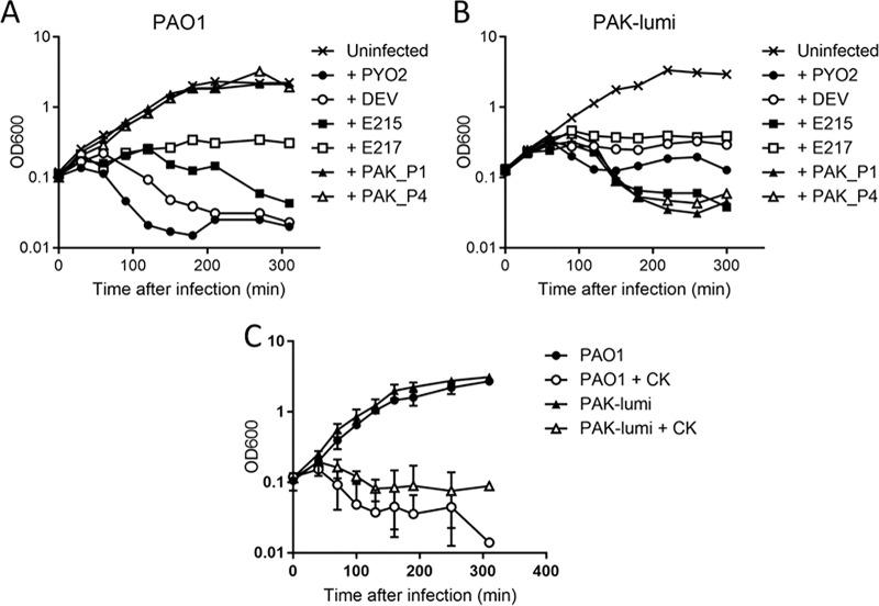 https://cdn.ncbi.nlm.nih.gov/pmc/blobs/76ef/5971607/a121084be361/zac0051871700001.jpg