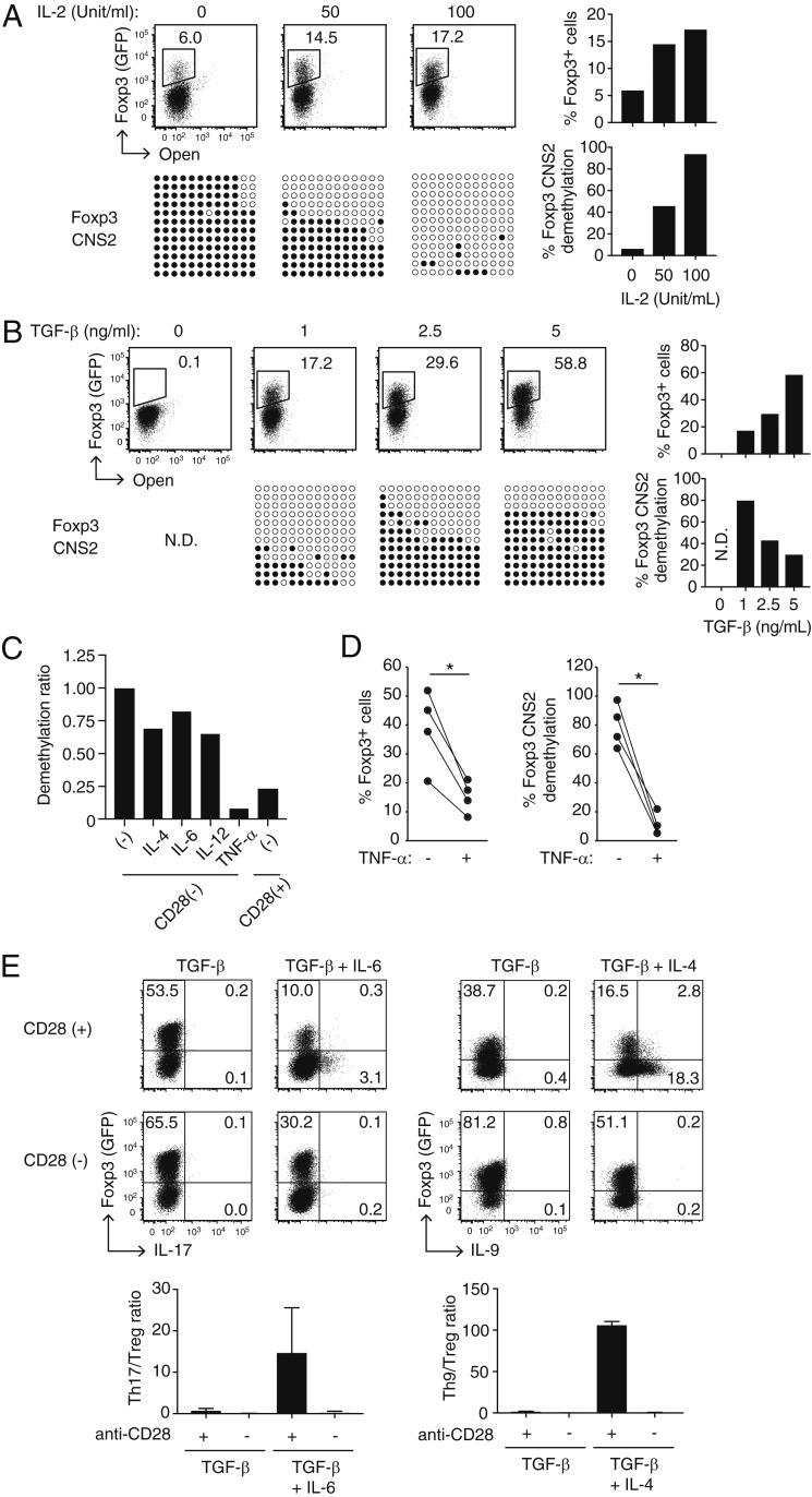 https://cdn.ncbi.nlm.nih.gov/pmc/blobs/76f0/7275710/27117e97950a/pnas.1922600117fig02.jpg