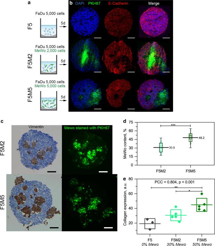 https://cdn.ncbi.nlm.nih.gov/pmc/blobs/76f2/7789590/c495f2028eb1/12951_2020_743_Fig1_HTML.jpg