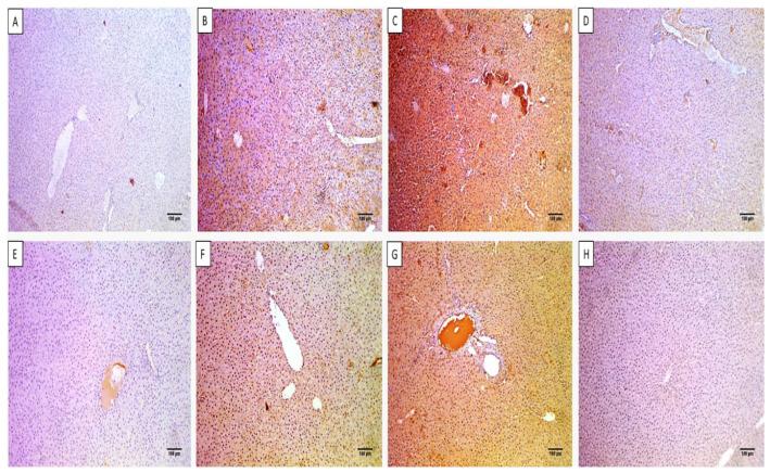 https://cdn.ncbi.nlm.nih.gov/pmc/blobs/76f3/10535980/0ff4647453e1/microorganisms-11-02247-g009.jpg