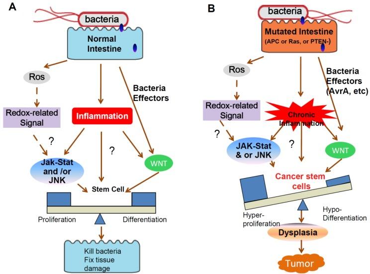 https://cdn.ncbi.nlm.nih.gov/pmc/blobs/76f3/3756362/0e8d1f11cf1b/cancers-03-00285f3.jpg