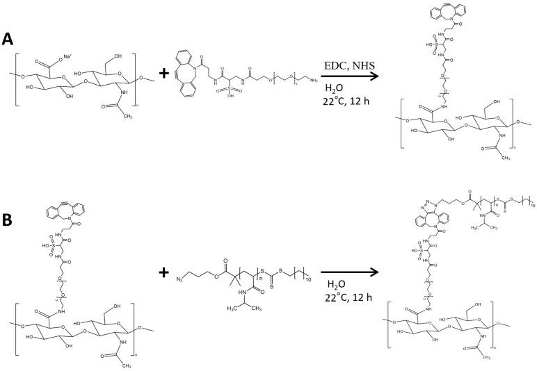 https://cdn.ncbi.nlm.nih.gov/pmc/blobs/76f3/8955188/ffeebbdf9f64/pharmaceutics-14-00659-g001.jpg