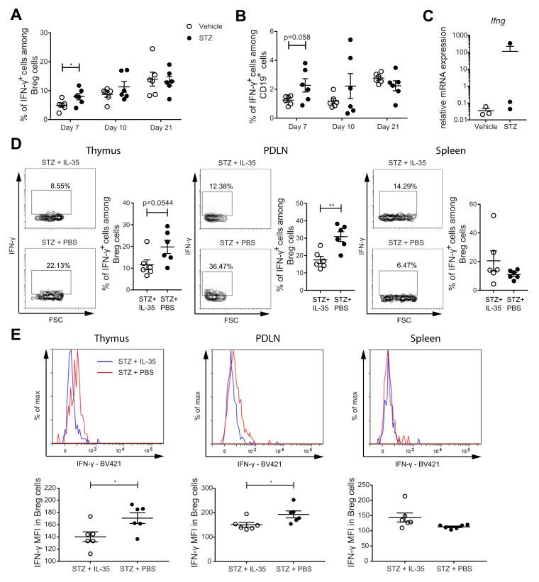 https://cdn.ncbi.nlm.nih.gov/pmc/blobs/76f4/8657454/5777bf680ddd/ijms-22-12988-g005.jpg