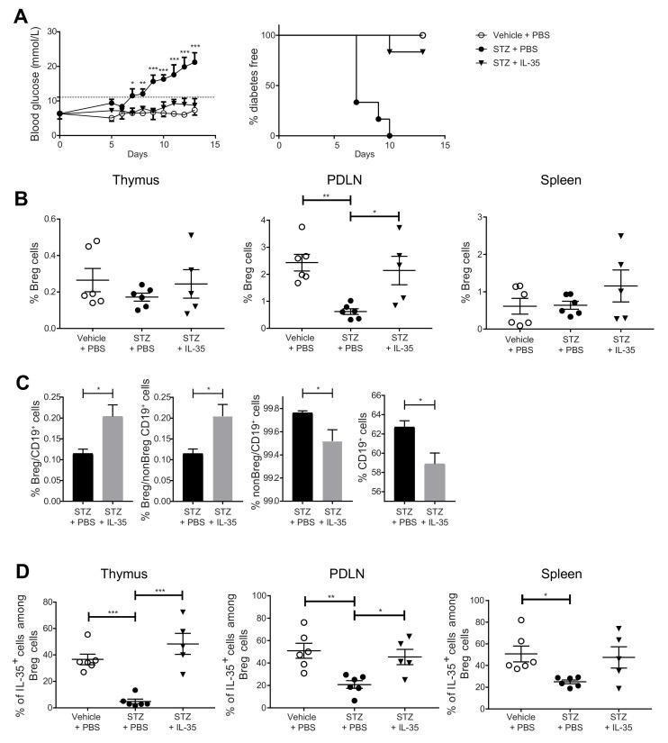 https://cdn.ncbi.nlm.nih.gov/pmc/blobs/76f4/8657454/a2ed0bfcece8/ijms-22-12988-g004.jpg
