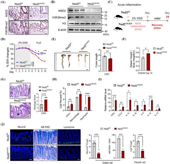 https://cdn.ncbi.nlm.nih.gov/pmc/blobs/76f5/11835373/eaf8e21b225d/CTM2-14-e70128-g005.jpg