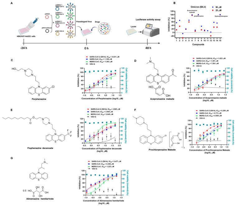 https://cdn.ncbi.nlm.nih.gov/pmc/blobs/76f6/10458444/3eddf42aace2/viruses-15-01666-g001.jpg