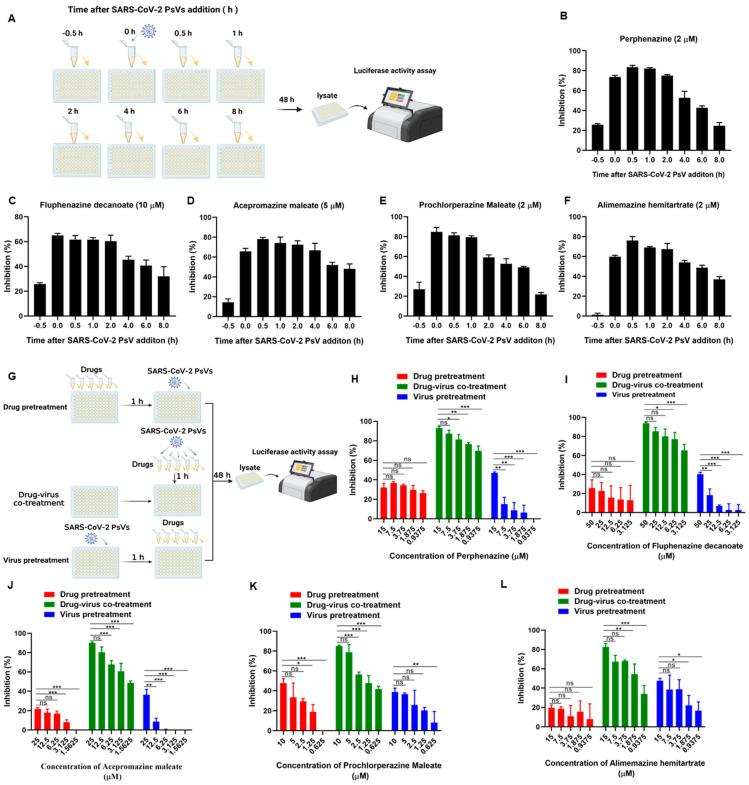 https://cdn.ncbi.nlm.nih.gov/pmc/blobs/76f6/10458444/bb95024f618a/viruses-15-01666-g003.jpg