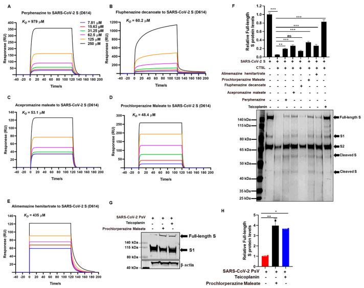 https://cdn.ncbi.nlm.nih.gov/pmc/blobs/76f6/10458444/c18e4c23e9d1/viruses-15-01666-g004.jpg