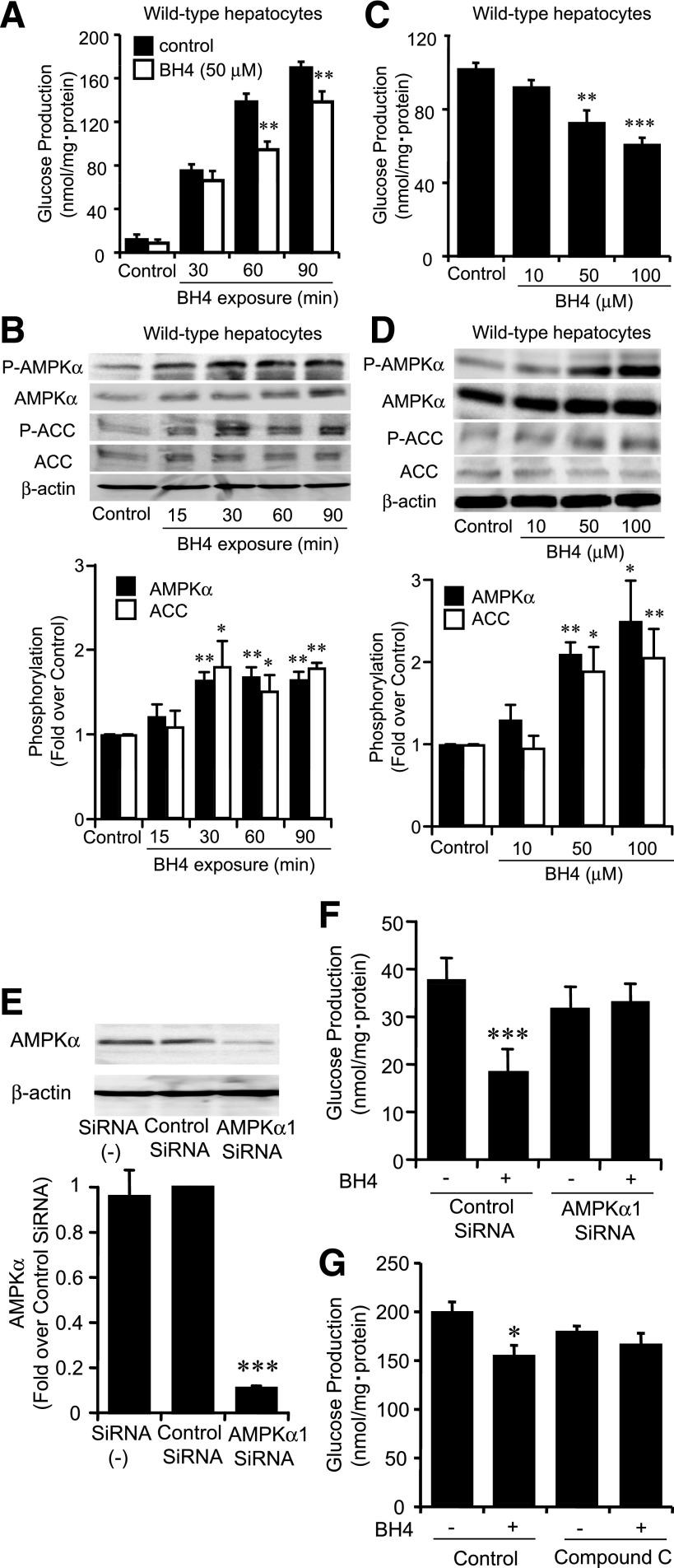 https://cdn.ncbi.nlm.nih.gov/pmc/blobs/76f7/3749361/1f0bb79d1461/3033fig3.jpg