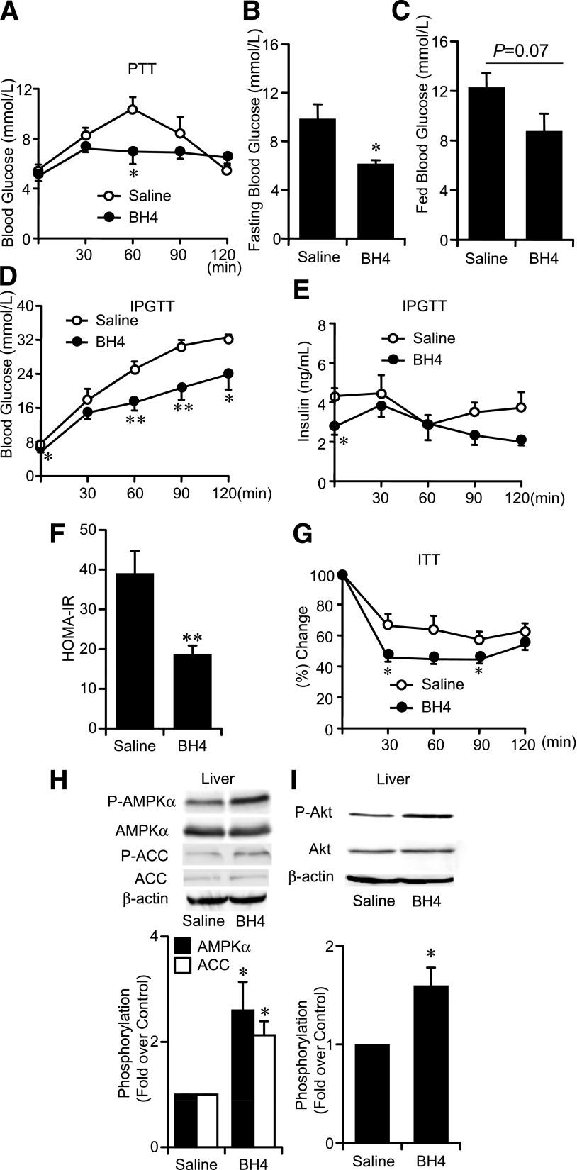 https://cdn.ncbi.nlm.nih.gov/pmc/blobs/76f7/3749361/436484f31ab7/3033fig7.jpg