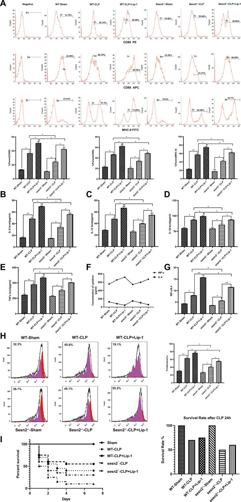 https://cdn.ncbi.nlm.nih.gov/pmc/blobs/76f7/8418614/5f4831503f25/41419_2021_4122_Fig6_HTML.jpg