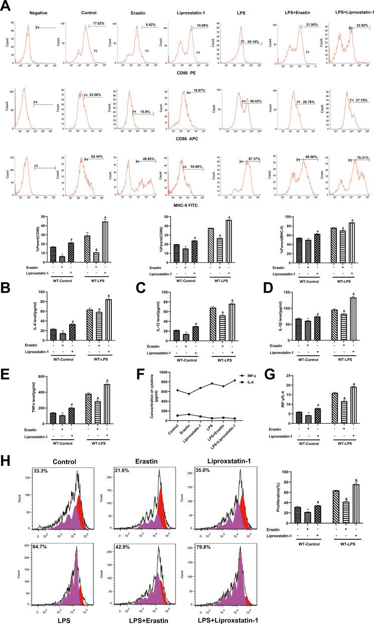 https://cdn.ncbi.nlm.nih.gov/pmc/blobs/76f7/8418614/8bd2fcfac326/41419_2021_4122_Fig2_HTML.jpg