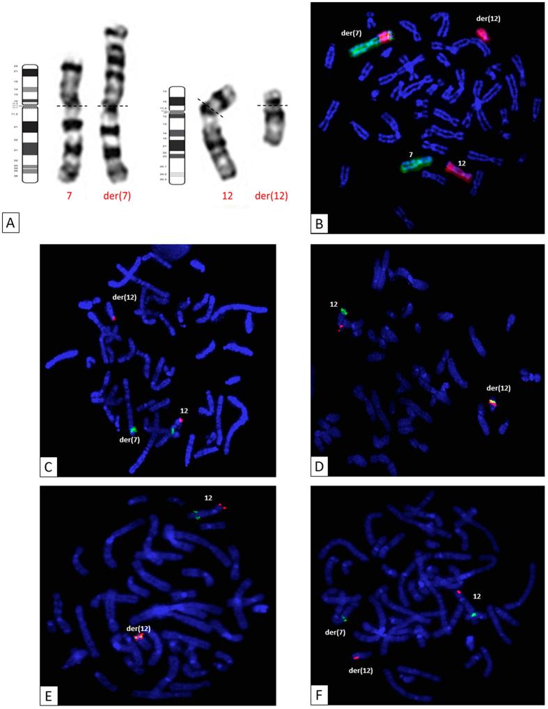 https://cdn.ncbi.nlm.nih.gov/pmc/blobs/76f8/5206619/fffb3f4637df/srep39760-f1.jpg