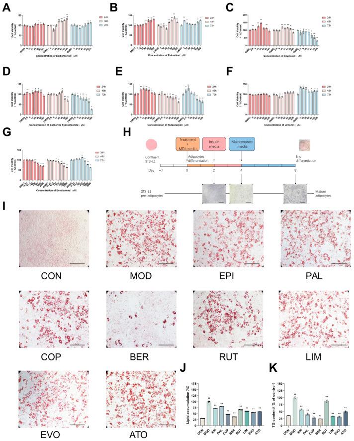 https://cdn.ncbi.nlm.nih.gov/pmc/blobs/76fa/12072149/65c37919516e/ijms-26-04170-g001.jpg