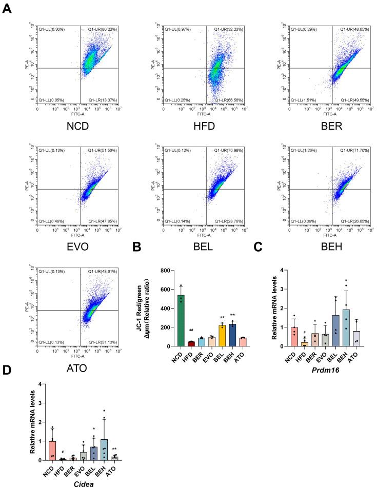 https://cdn.ncbi.nlm.nih.gov/pmc/blobs/76fa/12072149/a5fc81e4485b/ijms-26-04170-g008.jpg