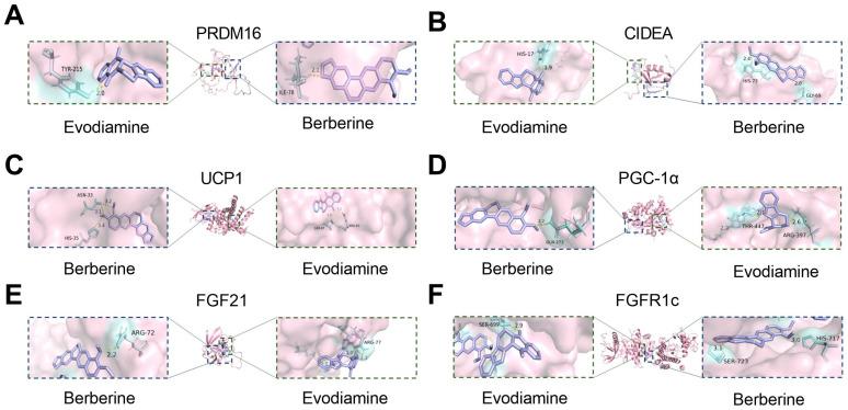 https://cdn.ncbi.nlm.nih.gov/pmc/blobs/76fa/12072149/c1552e7ecedd/ijms-26-04170-g002.jpg