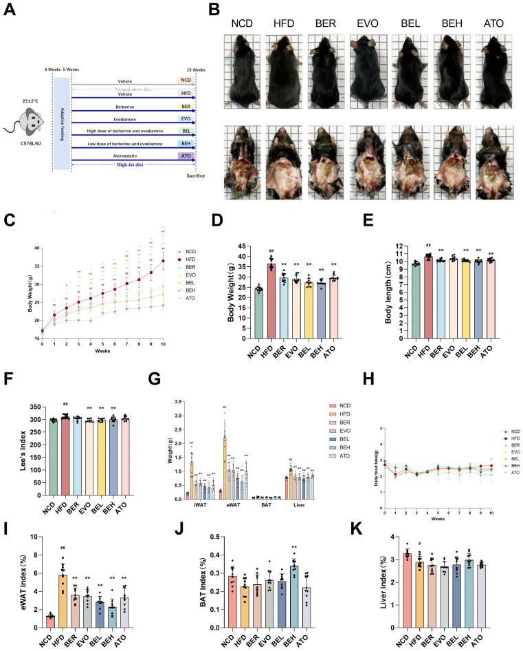 https://cdn.ncbi.nlm.nih.gov/pmc/blobs/76fa/12072149/c33315192606/ijms-26-04170-g005.jpg