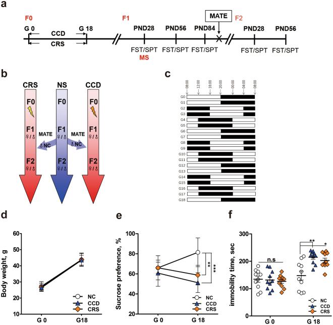 https://cdn.ncbi.nlm.nih.gov/pmc/blobs/76fa/5626699/713812e9b276/41598_2017_13067_Fig1_HTML.jpg