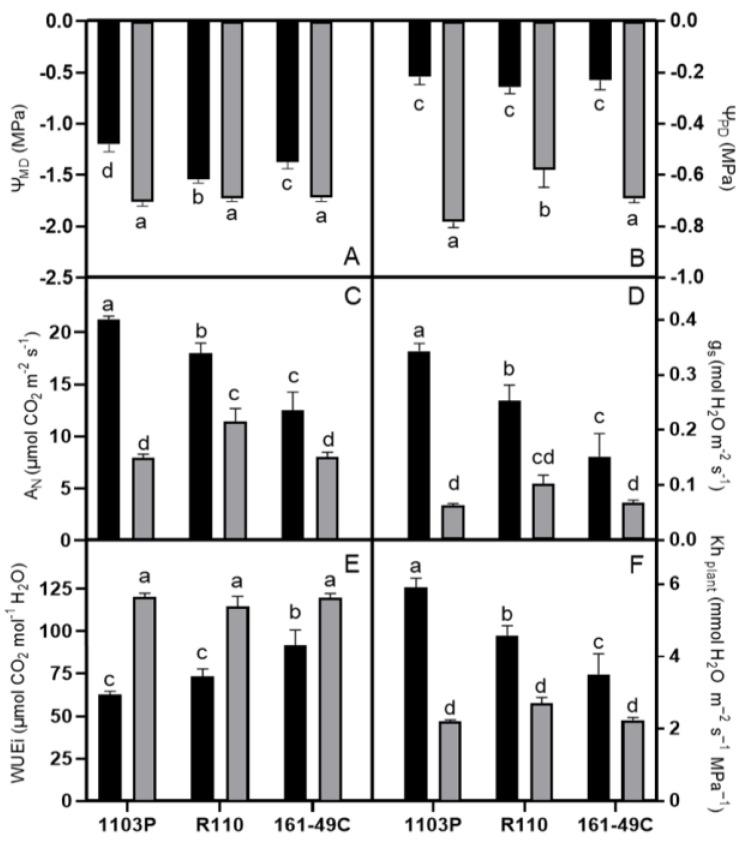 https://cdn.ncbi.nlm.nih.gov/pmc/blobs/76fd/9961603/f1054bd1f29e/plants-12-00718-g001.jpg
