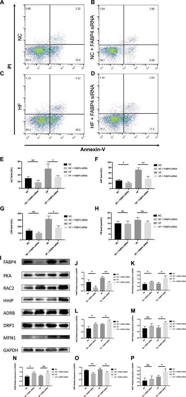 https://cdn.ncbi.nlm.nih.gov/pmc/blobs/7701/11072474/1b7dc998f0ac/18_2023_5110_Fig10_HTML.jpg