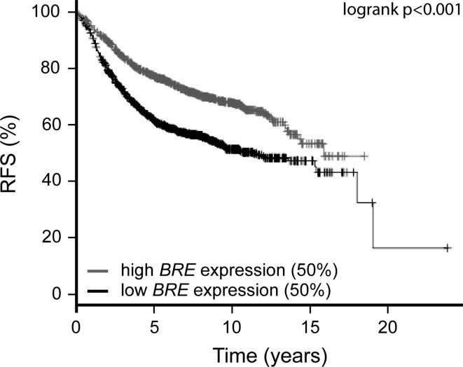 https://cdn.ncbi.nlm.nih.gov/pmc/blobs/7702/3413819/bd86a64ca1e3/10549_2012_2122_Fig3_HTML.jpg
