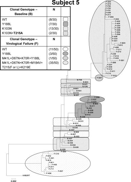 https://cdn.ncbi.nlm.nih.gov/pmc/blobs/7703/2809245/209f2f97fea6/dkp41901.jpg