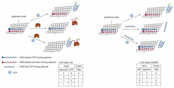 https://cdn.ncbi.nlm.nih.gov/pmc/blobs/7703/7700249/04d2439b0682/pharmaceuticals-13-00417-g009.jpg