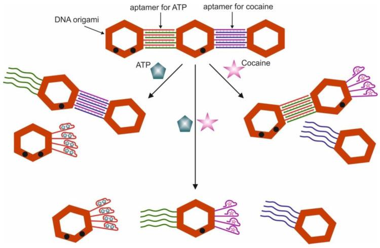 https://cdn.ncbi.nlm.nih.gov/pmc/blobs/7703/7700249/da4e0b2dafeb/pharmaceuticals-13-00417-g022.jpg