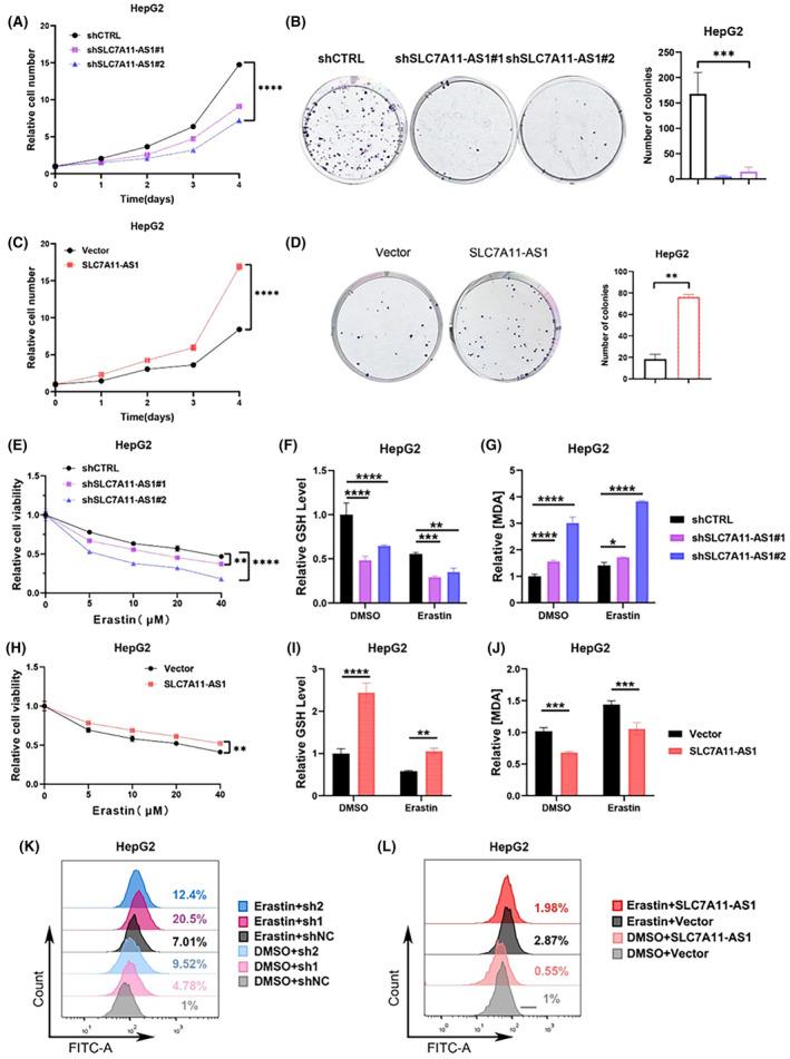 https://cdn.ncbi.nlm.nih.gov/pmc/blobs/7704/11234646/1c1e5ff0df08/JCMM-28-e18496-g006.jpg