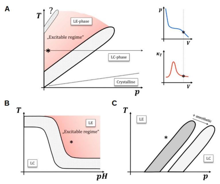 https://cdn.ncbi.nlm.nih.gov/pmc/blobs/7707/8306103/34e0289d70e9/membranes-11-00478-g004.jpg
