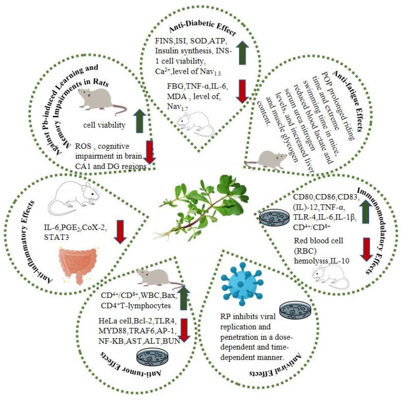https://cdn.ncbi.nlm.nih.gov/pmc/blobs/7708/10305205/2f616173229f/molecules-28-04813-g003.jpg