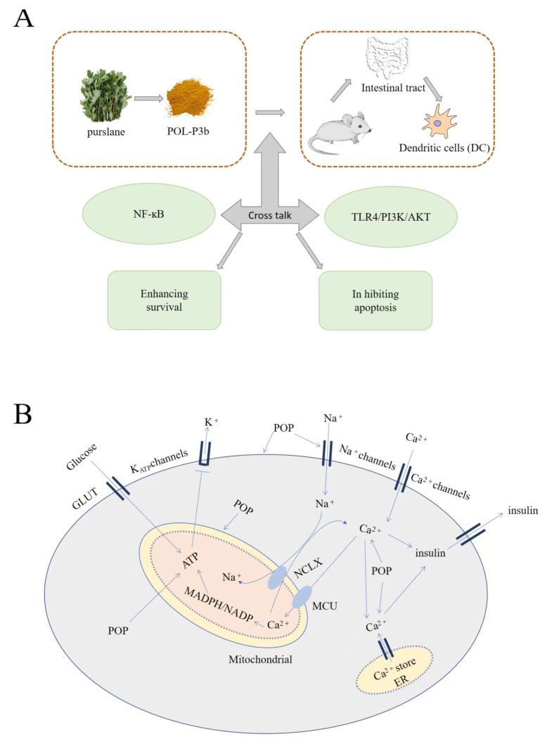 https://cdn.ncbi.nlm.nih.gov/pmc/blobs/7708/10305205/7999c8364c89/molecules-28-04813-g004.jpg