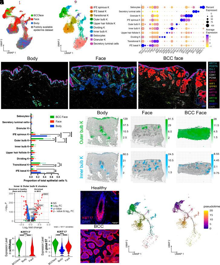 https://cdn.ncbi.nlm.nih.gov/pmc/blobs/7709/10786309/61864eebb5de/pnas.2313326120fig04.jpg