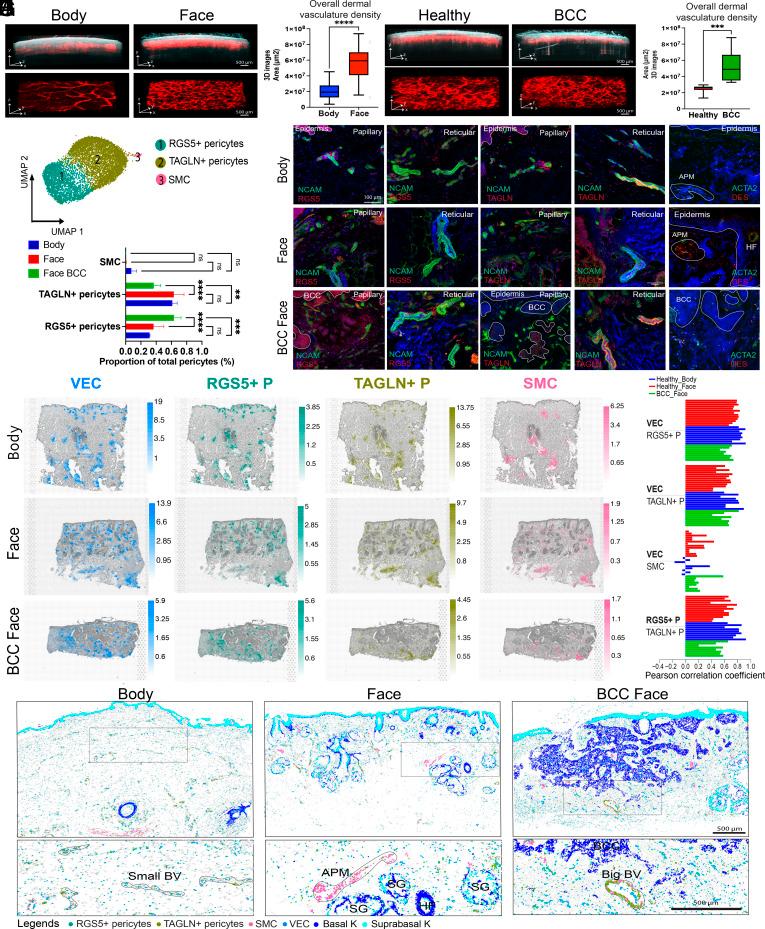 https://cdn.ncbi.nlm.nih.gov/pmc/blobs/7709/10786309/c97a38628b96/pnas.2313326120fig02.jpg