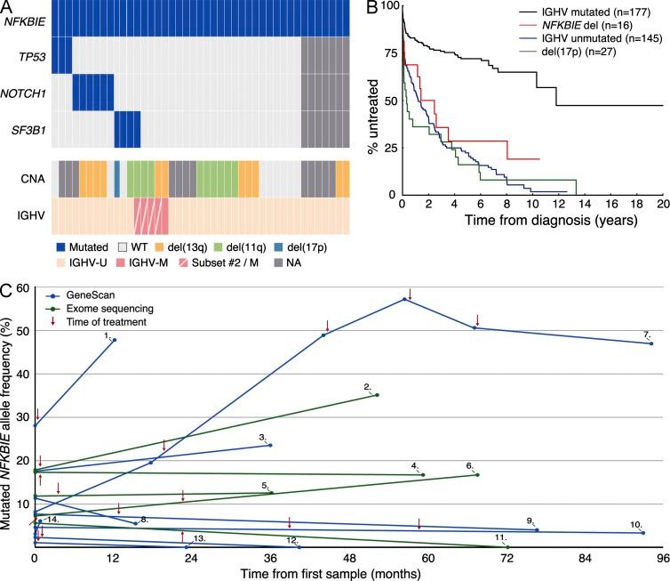 https://cdn.ncbi.nlm.nih.gov/pmc/blobs/770a/4451125/55c4f671bdfa/JEM_20142009_Fig2.jpg