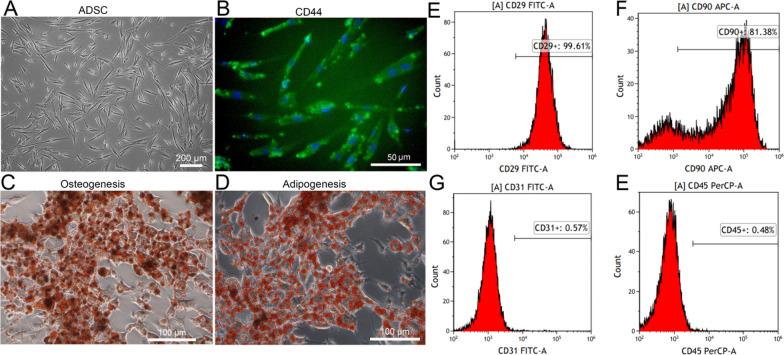 https://cdn.ncbi.nlm.nih.gov/pmc/blobs/770b/11687163/0237aebd54d7/13287_2024_4093_Fig1_HTML.jpg