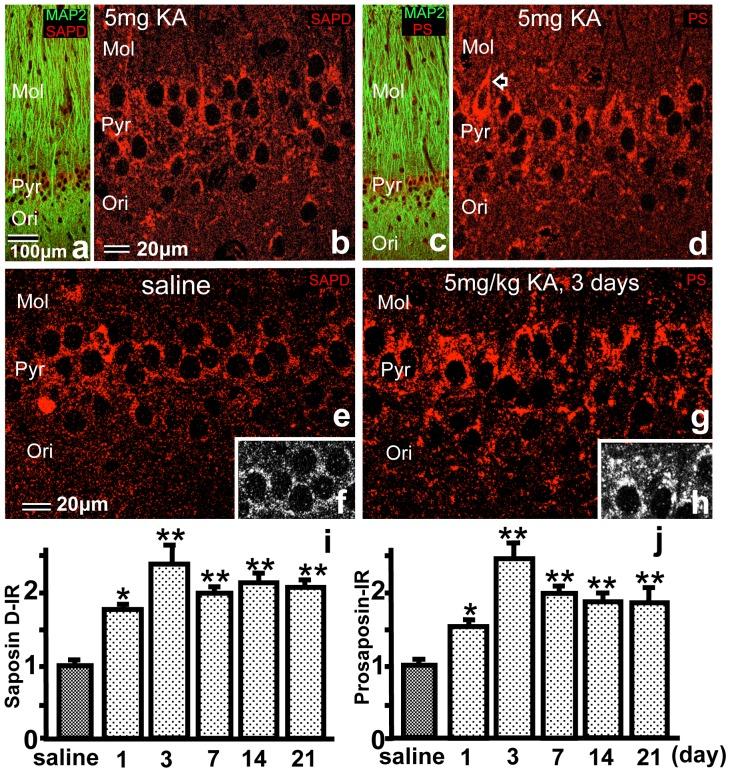 https://cdn.ncbi.nlm.nih.gov/pmc/blobs/770c/4251898/ad8dc59cb6a3/pone.0110534.g002.jpg