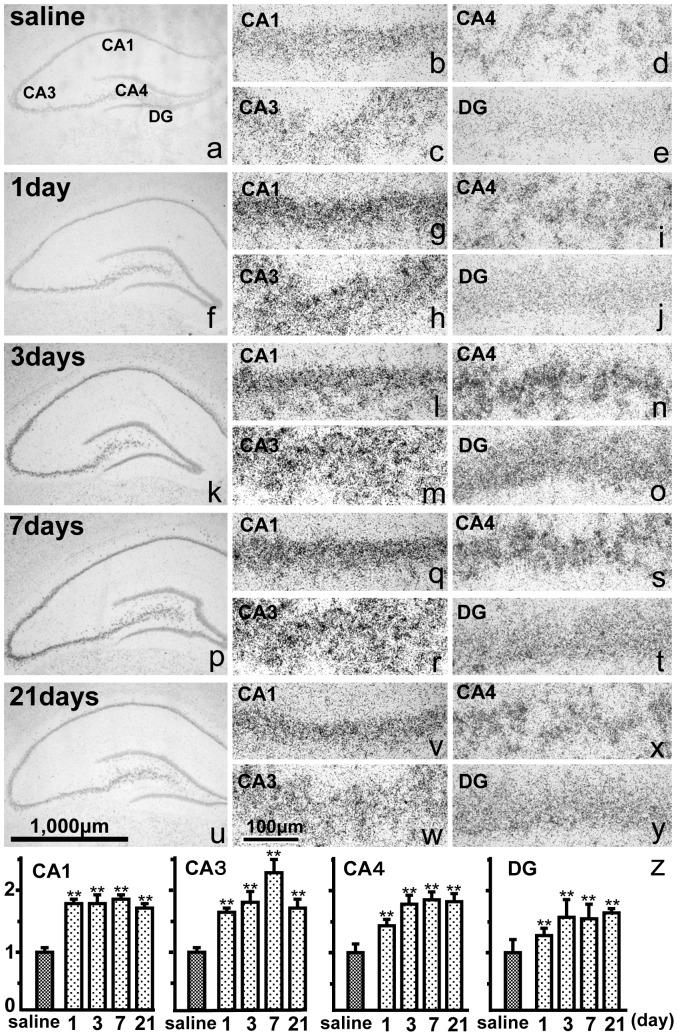 https://cdn.ncbi.nlm.nih.gov/pmc/blobs/770c/4251898/bf18e6a2bfe0/pone.0110534.g003.jpg